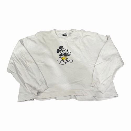 Disney parks mickey mouse - disney,